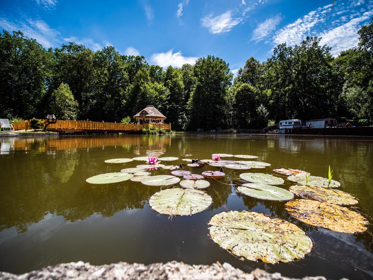 Agromurena Gryfów Śląski Exterior foto